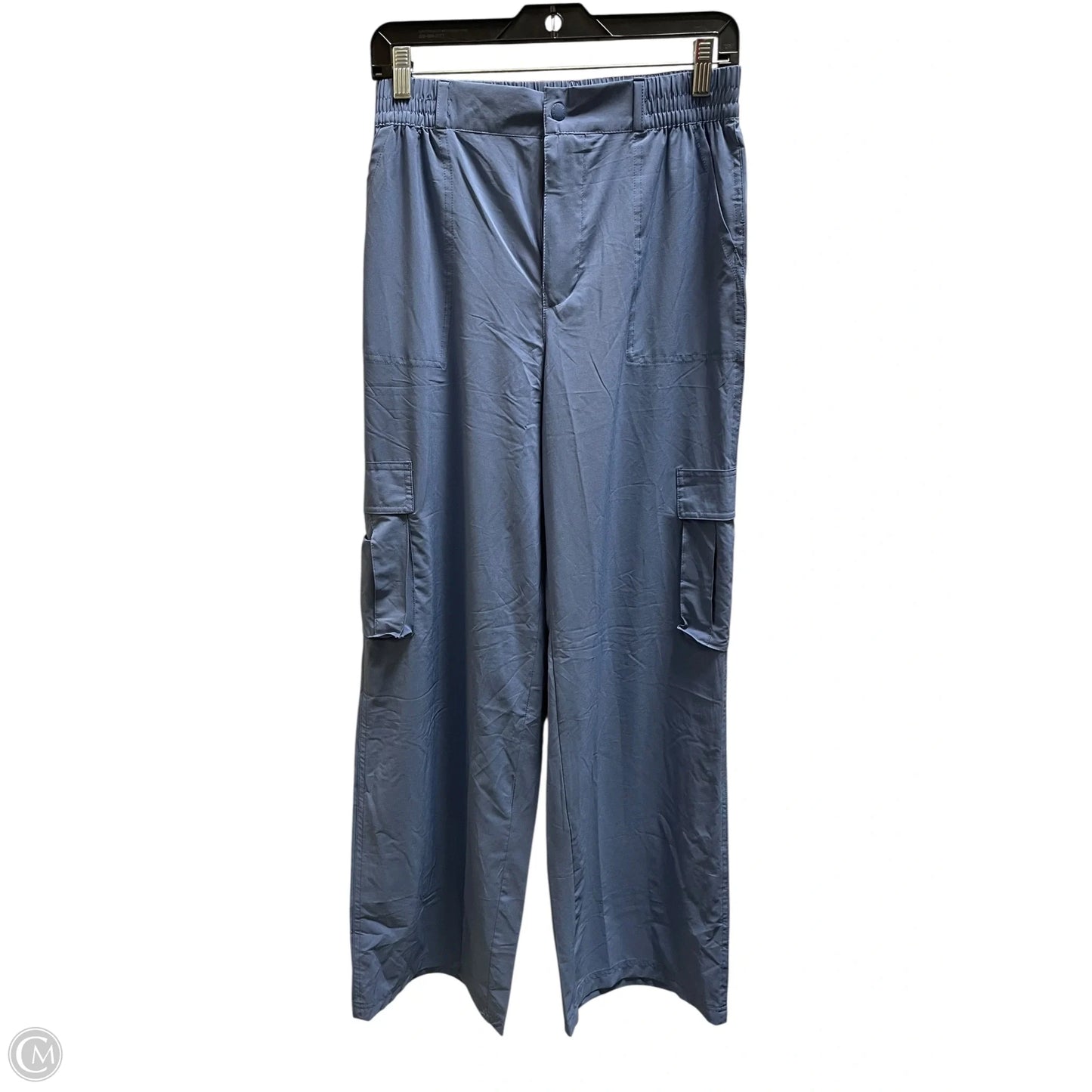 Athletic Pants By Aerie In Blue, Size: M