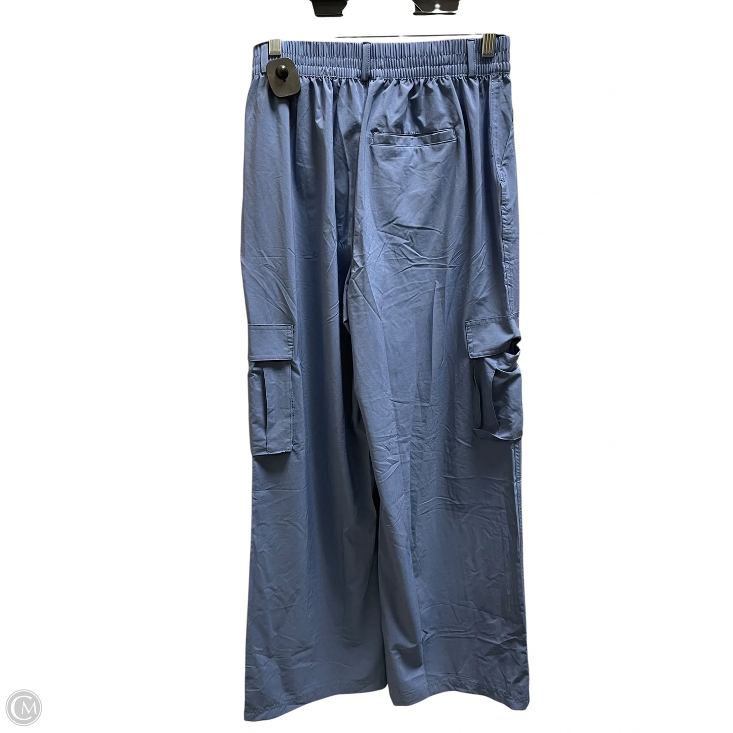 Athletic Pants By Aerie In Blue, Size: M