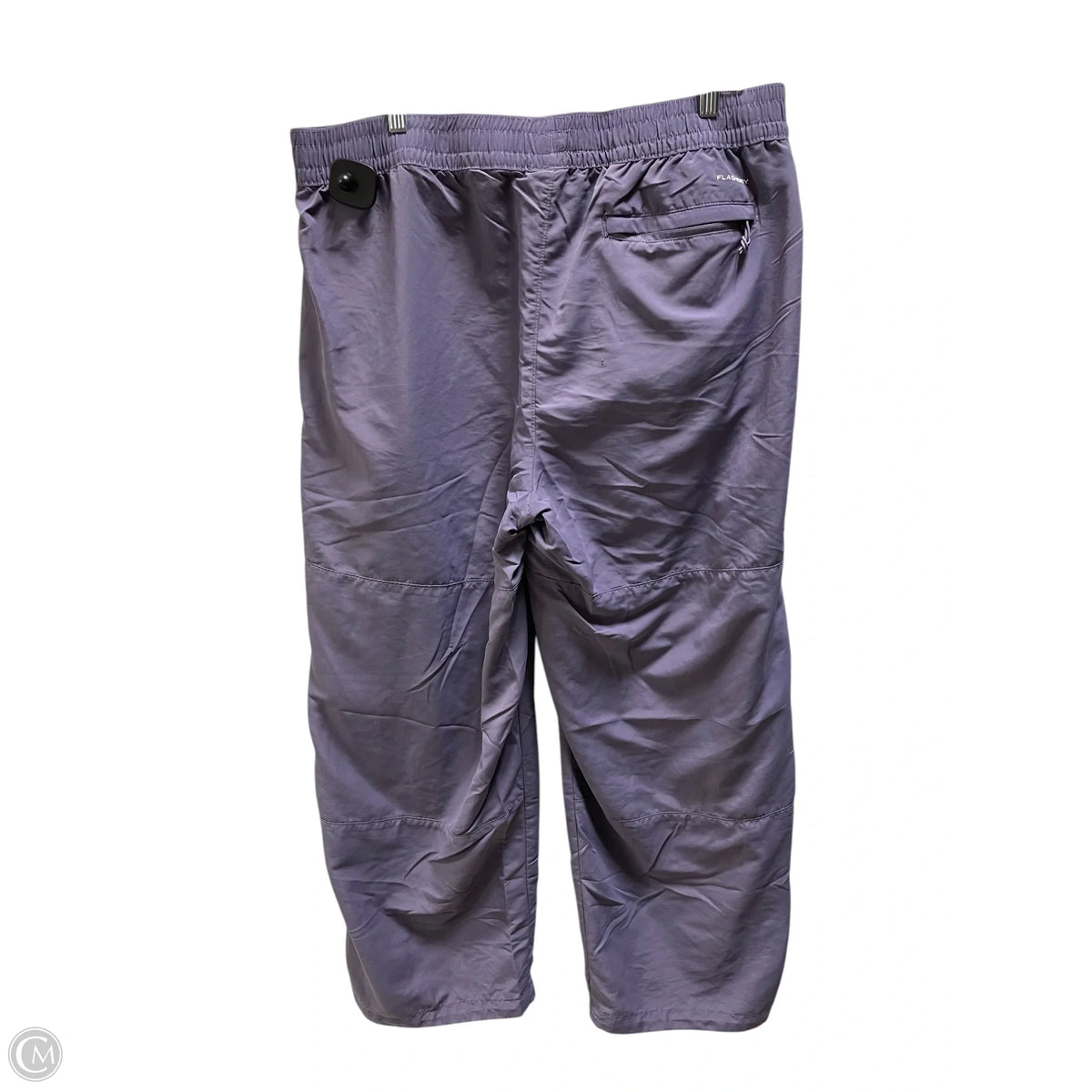 Athletic Pants By The North Face In Purple, Size: 2x