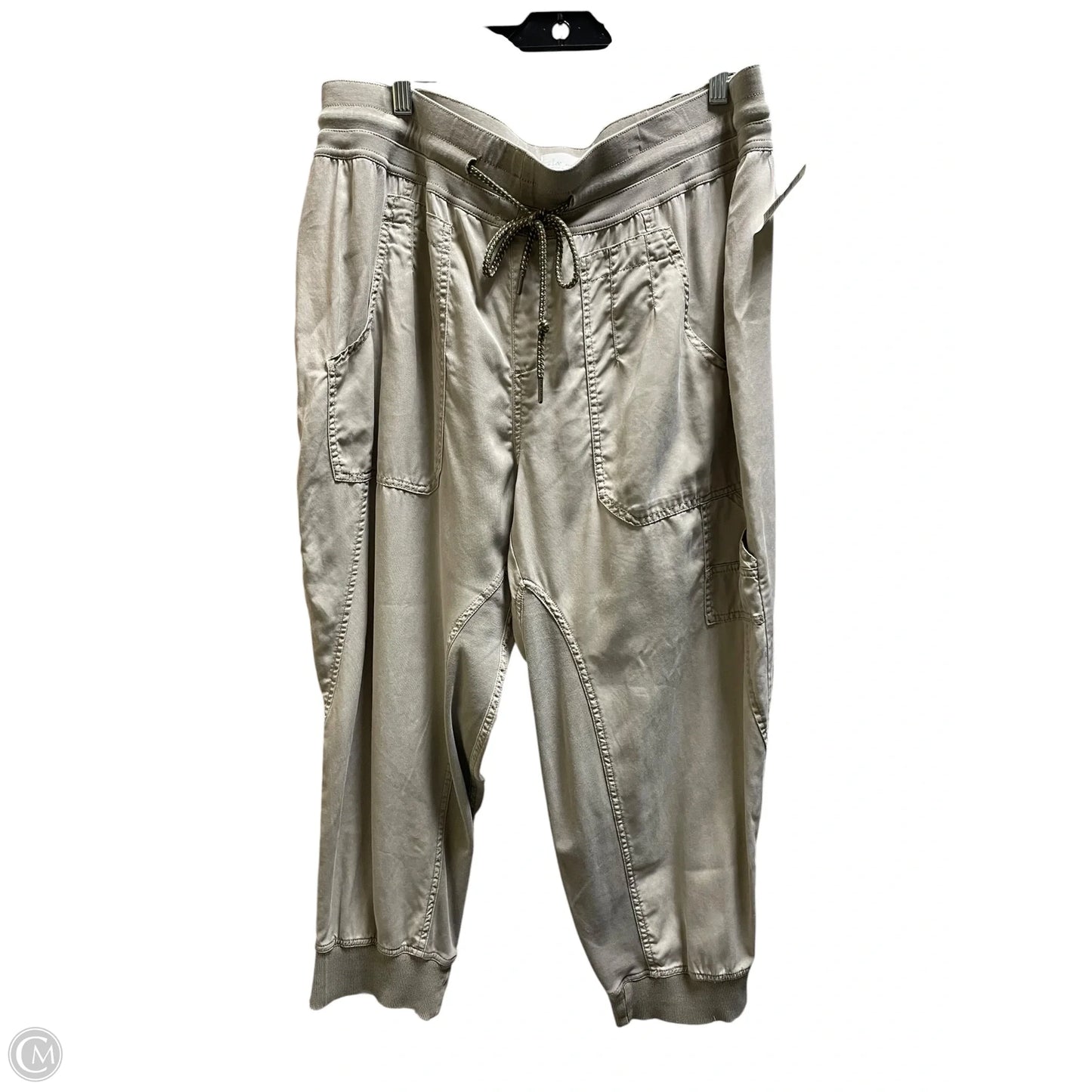 Pants Joggers By Anthropologie In Green, Size: 1x