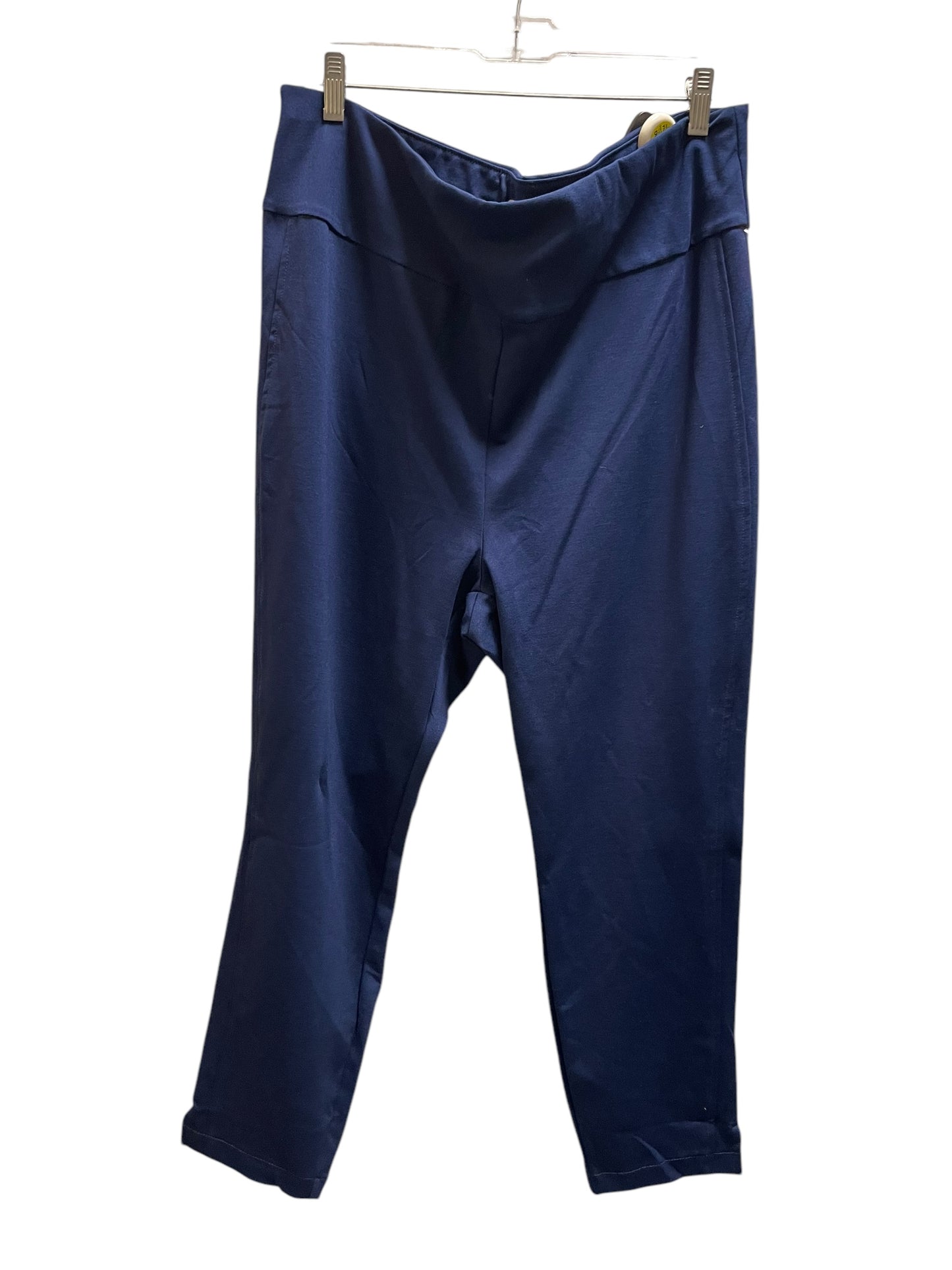 Pants Other By Clothes Mentor In Blue, Size: 3x