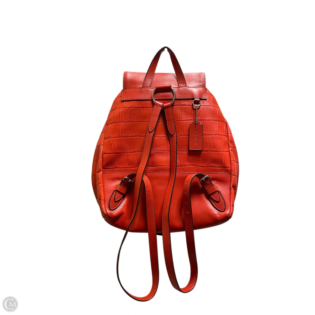 Backpack Designer By Coach, Size: Medium
