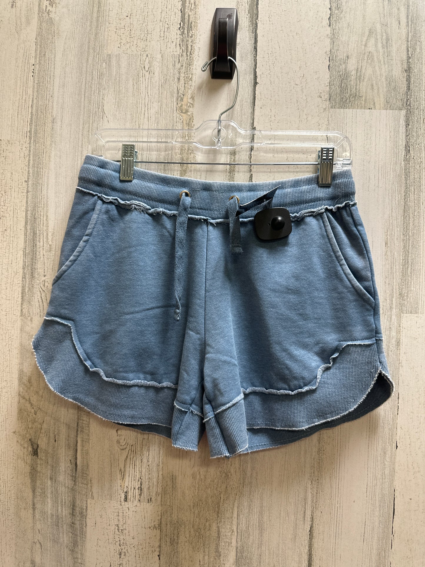 Blue Shorts Clothes Mentor, Size S