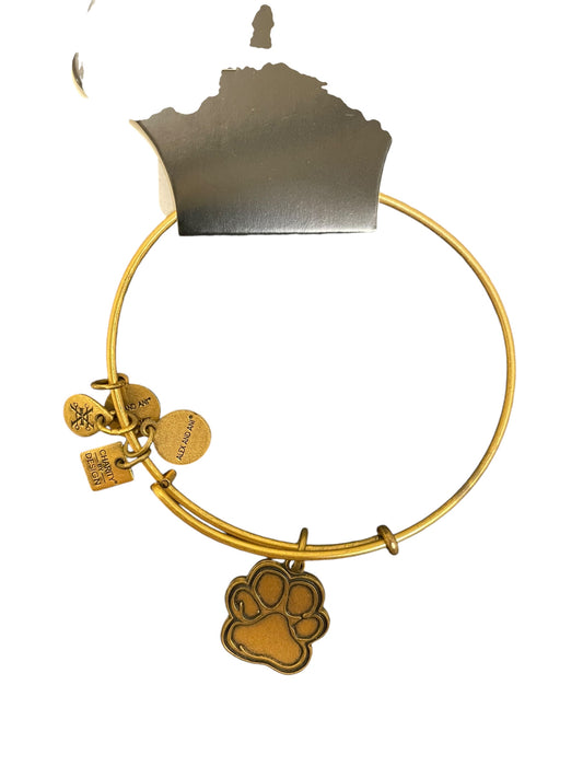 Bracelet Bangle By Alex And Ani