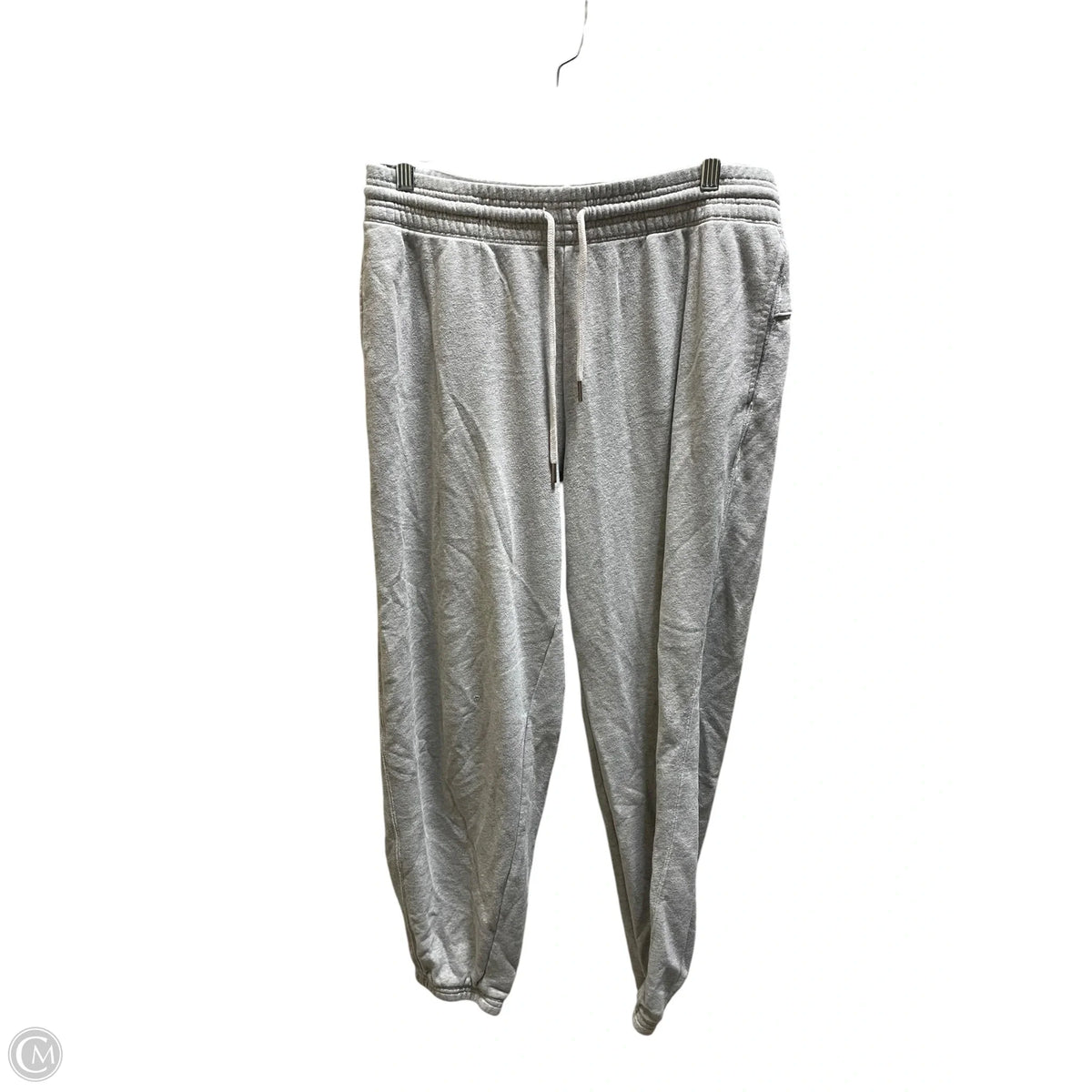 Pants Joggers By Aerie In Grey, Size: L